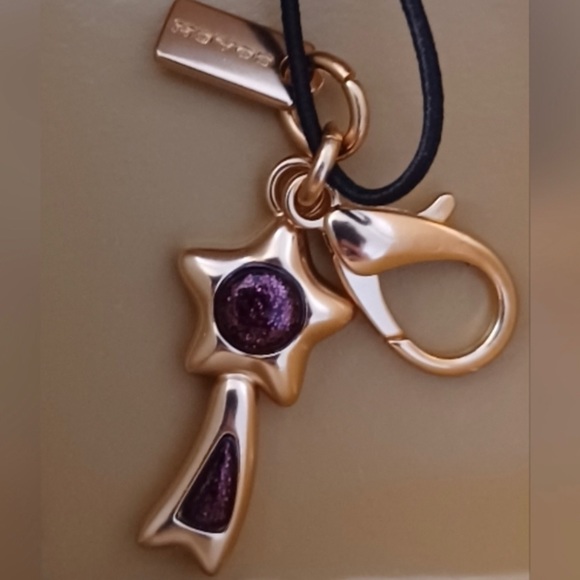 COACH Corner Zip Glitter Leather Wristlet Boxed Gift Box 2 Charms 100% AUTHENTIC - Picture 4 of 8